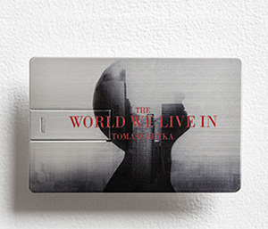 Karta USB - "THE WORLD WE LIVE IN" - 60,00 zł 